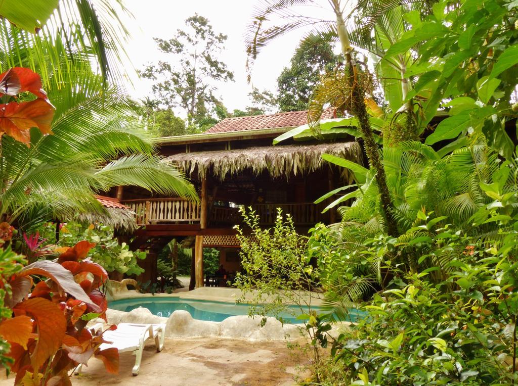 Caribe Town Bungalows Puerto Viejo de Talamanca Eksteriør bilde