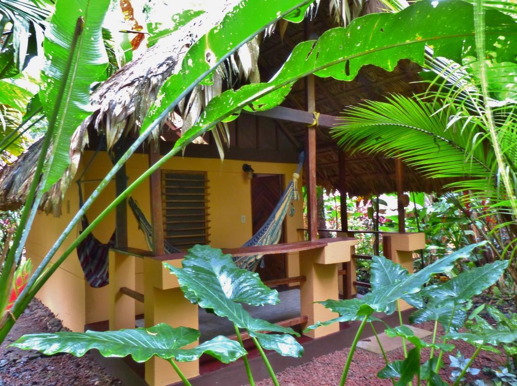 Caribe Town Bungalows Puerto Viejo de Talamanca Rom bilde