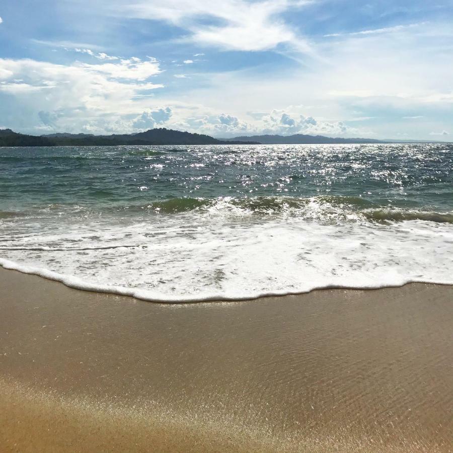 Caribe Town Bungalows Puerto Viejo de Talamanca Eksteriør bilde