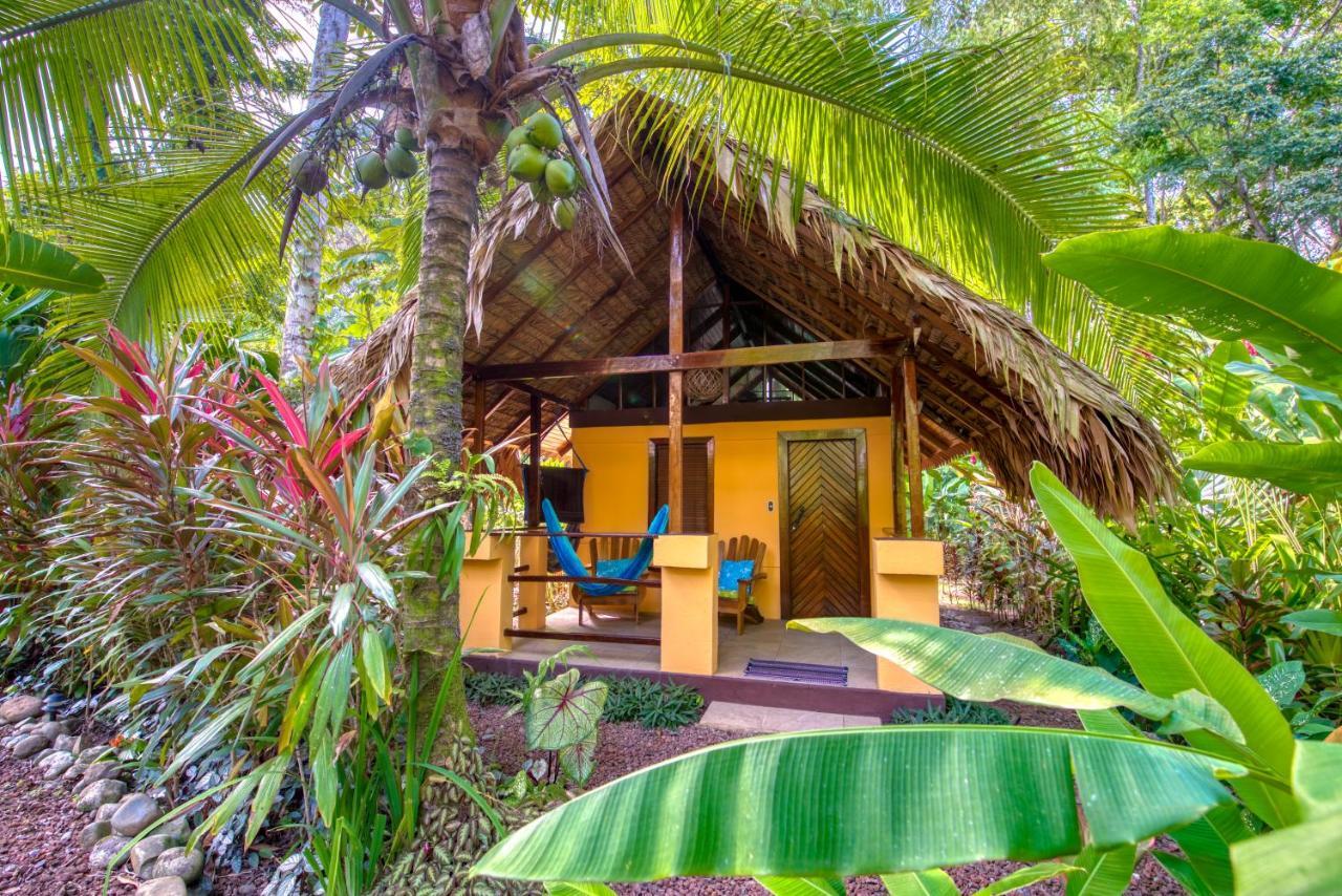 Caribe Town Bungalows Puerto Viejo de Talamanca Eksteriør bilde