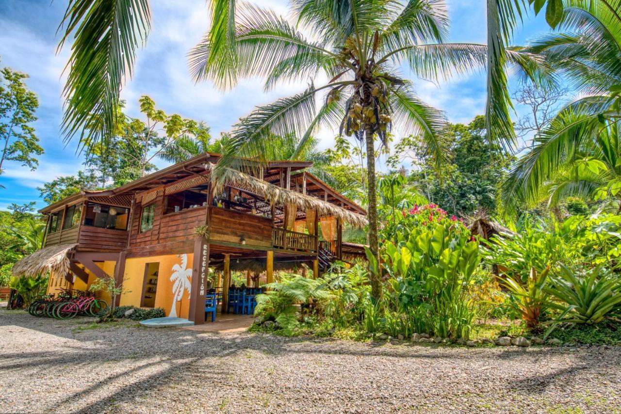 Caribe Town Bungalows Puerto Viejo de Talamanca Eksteriør bilde