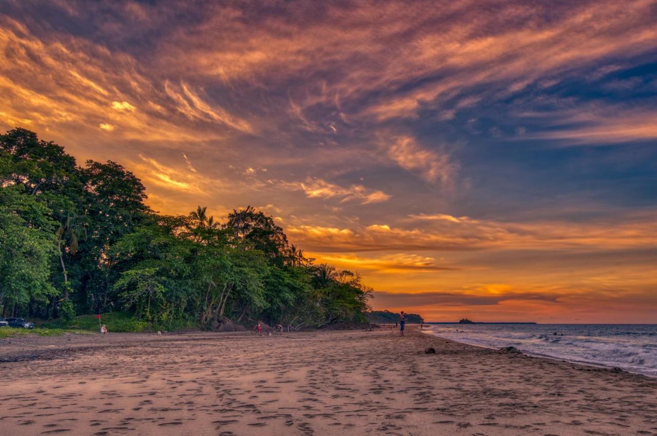 Caribe Town Bungalows Puerto Viejo de Talamanca Eksteriør bilde